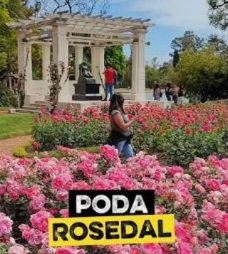 Rosedal de Palermo